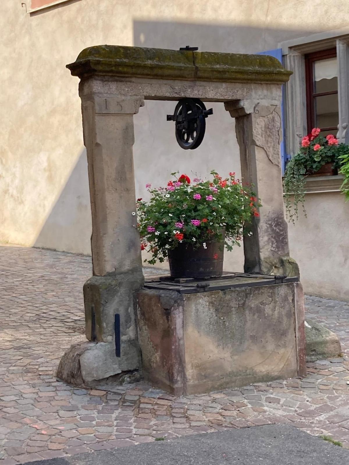 La Grange 1578 - Maison 4 Etoiles - Centre Ville - Commerce A Proximite Obernai Exteriör bild